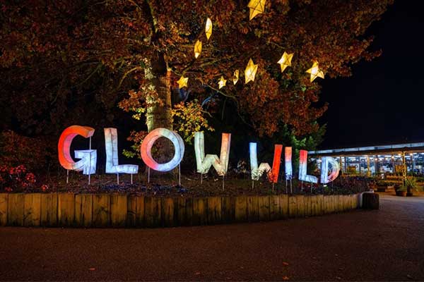 Wakehurst Glow Wild Christmas Lights